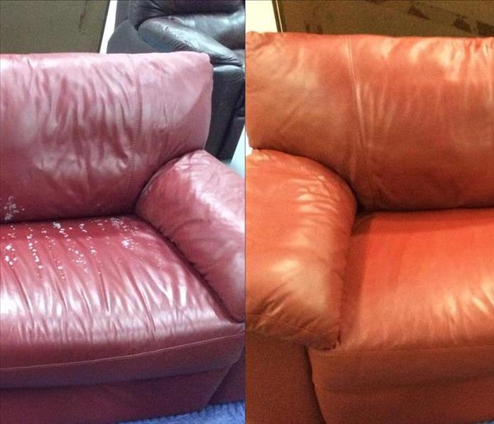 Commercial Sofa Restoration