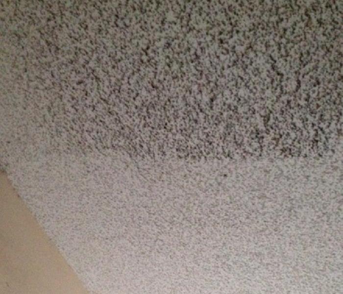 Residential Home Ceiling Fire Damage